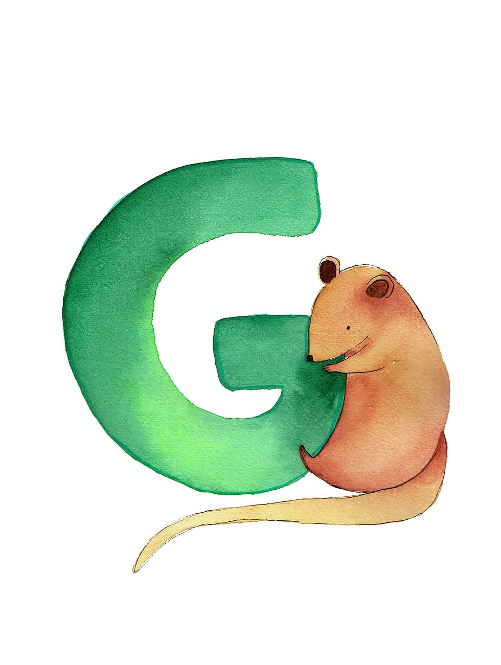 G is for Gilbert's Potoroo Fine Art Print