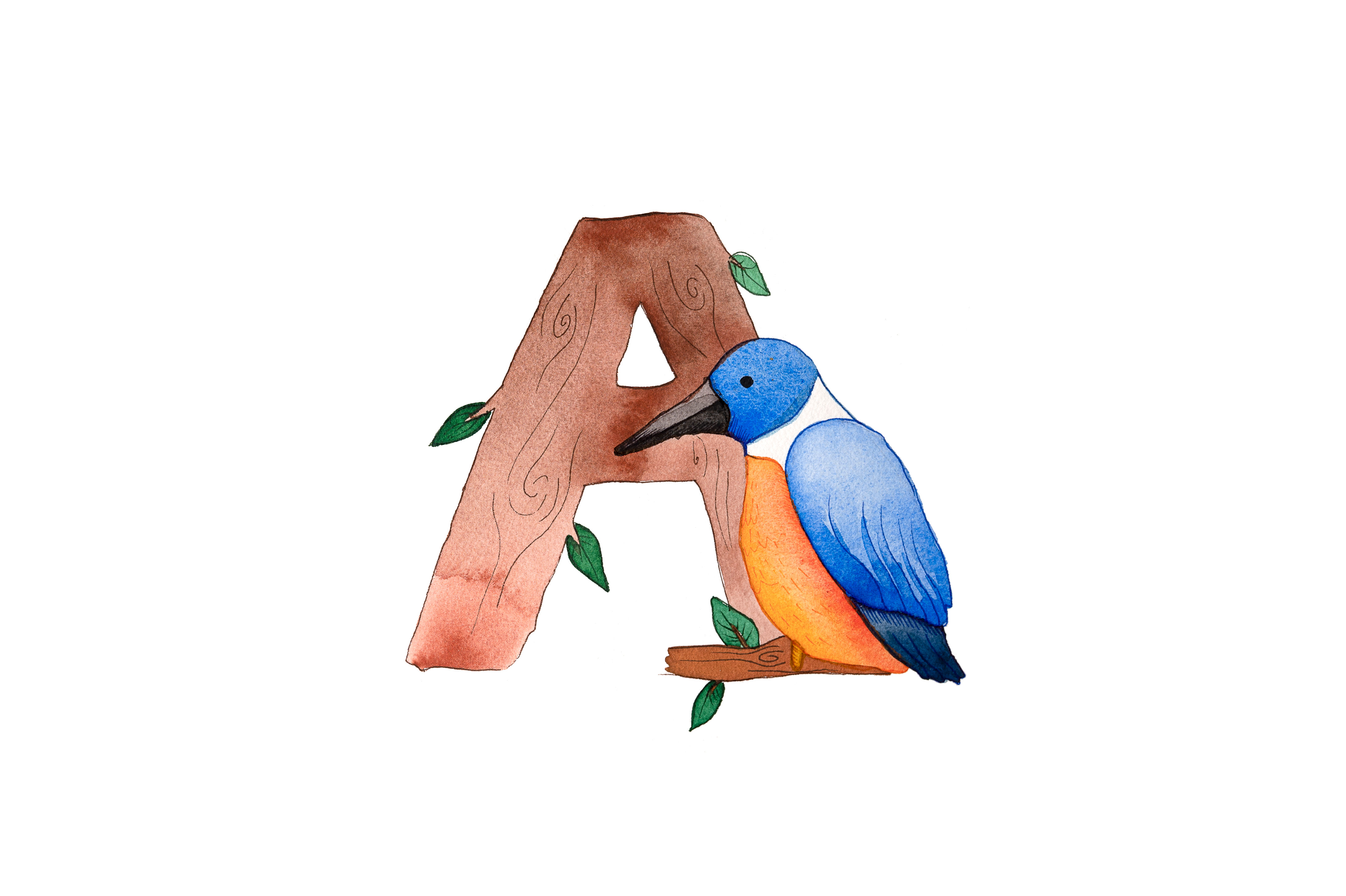 A is for Azure Kingfisher Fine Art Print