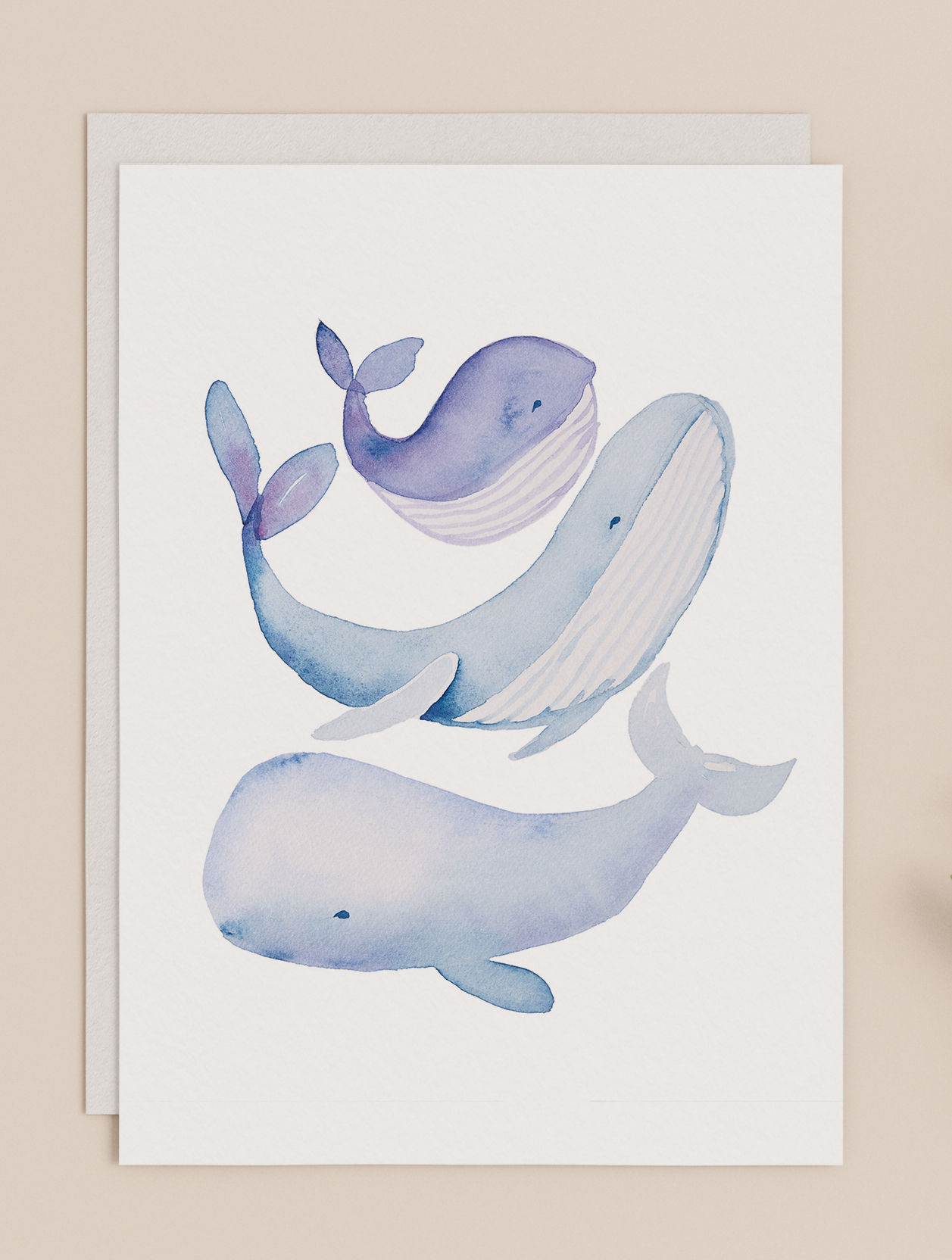 Whales Greeting Card