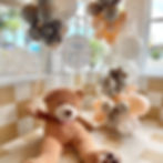 Juliette French Arch + Bear Balloon