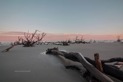 boneyard hunting island 10 22 300 ppi