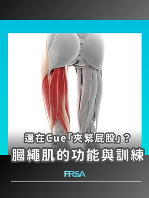 【還在Cue「夾緊屁股」?膕繩肌的功能與訓練】