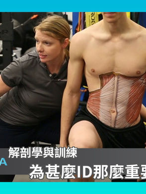 解剖學與訓練 - 為甚麼ID那麼重要?