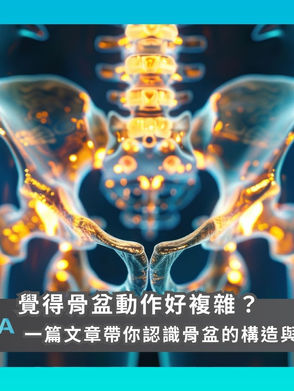 【覺得骨盆動作好複雜?一篇文章帶你認識骨盆的構造與活動】