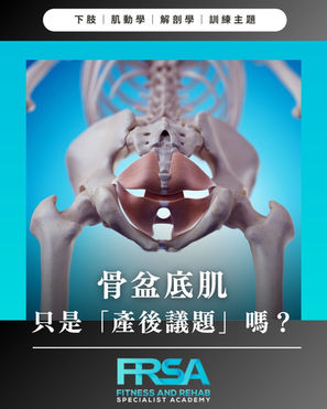 骨盆底肌作為人體「第二橫隔膜」的重要角色與核心壓力系統的協調功能