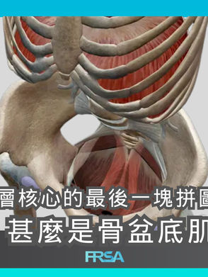 【深層核心的最後一塊拼圖 - 甚麼是骨盆底肌?】