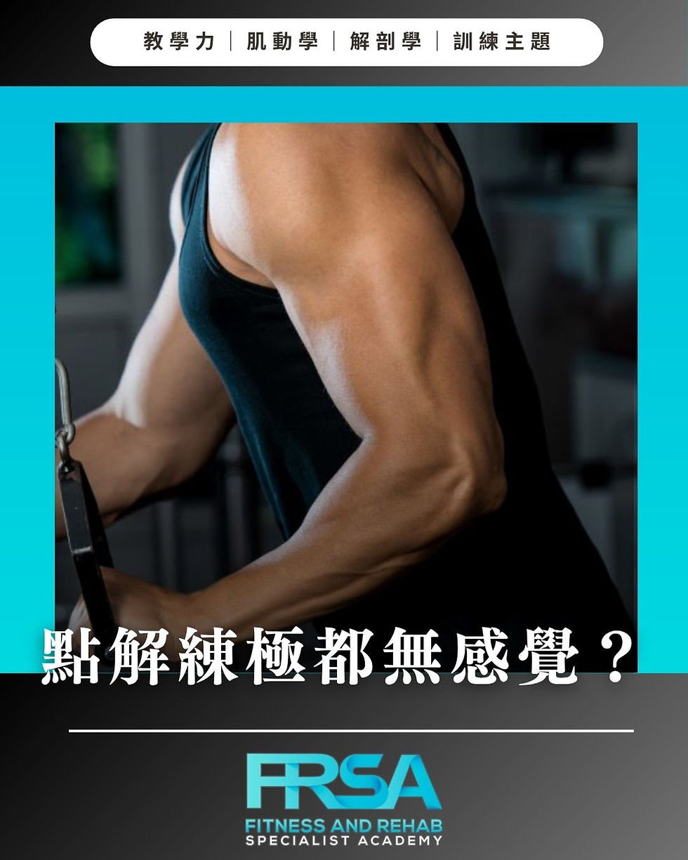 點解練極都無感覺？破解神經系統與肌肉連結的關鍵！