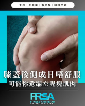 膝蓋後側經常不適?拉筋、按摩都無效?你可能忽略了這塊小肌肉!