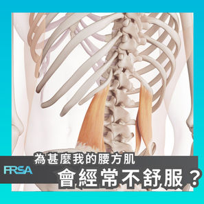 【為甚麼我的腰方肌會經常不舒服?】
