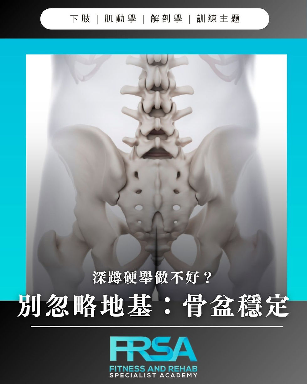 深蹲硬舉做不好?因為你忽略了下肢訓練的地基:骨盆穩定