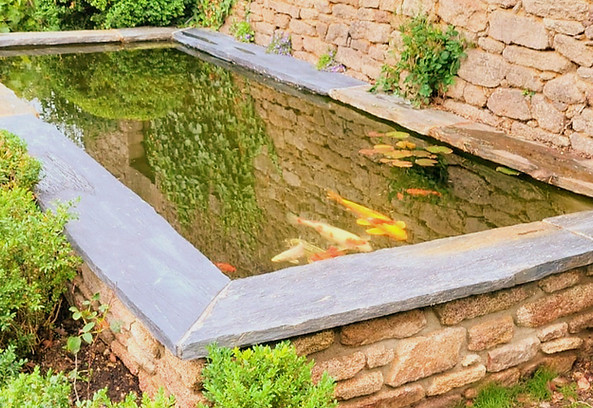 84d7a06b-2f18-44e9-aab7-627567ee0b67_edited_edited_edited.jpg