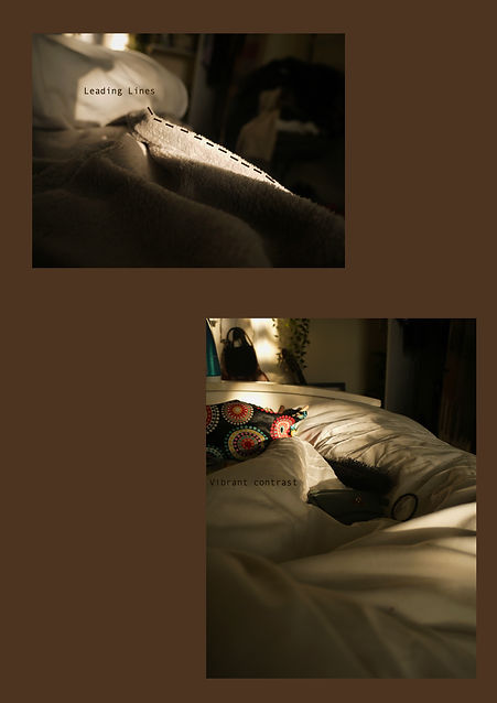 annotations 2...1.jpeg
