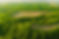 iStock-1469789871.jpg