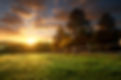 iStock-522961501.jpg