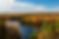 iStock-1310674633.jpg