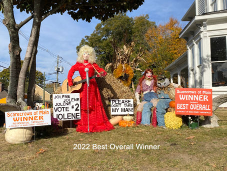 They're Everywhere - Scarecrows that is!