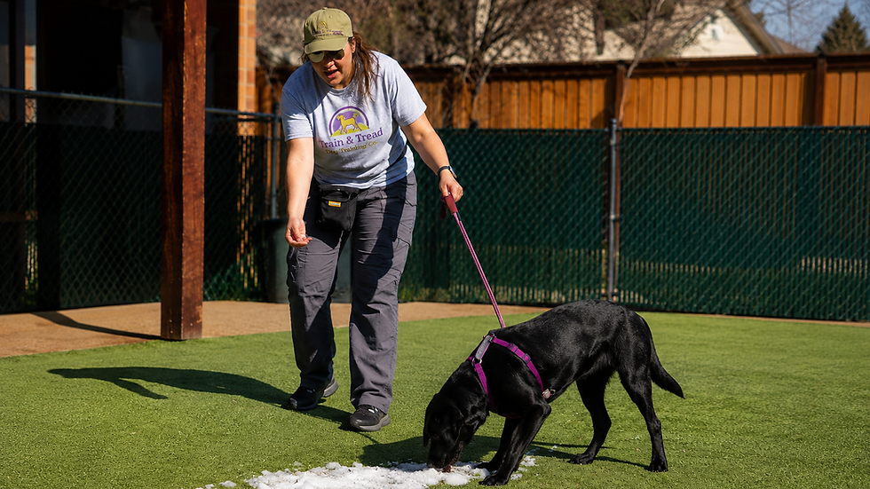 training outside