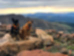 two dogs perched on rock on Colorado summit