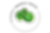 AF_CURVAS_LOGOFINAL_ACADEMIA-02 (1).png