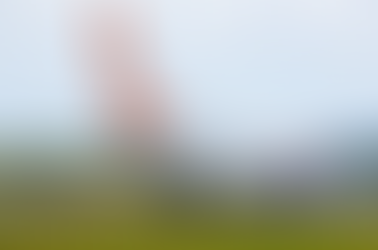 Clientes poderão realizar compensação de carbono de suas viagens