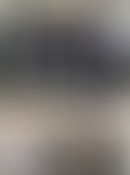 ASAGOL reúne-se com CENIPA e ANAC