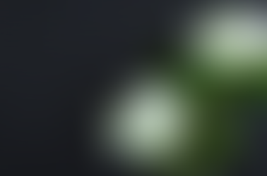 ATENÇÃO | Mudança no Auxílio Funeral