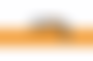 Velório do Cmte. Milton Rizzini