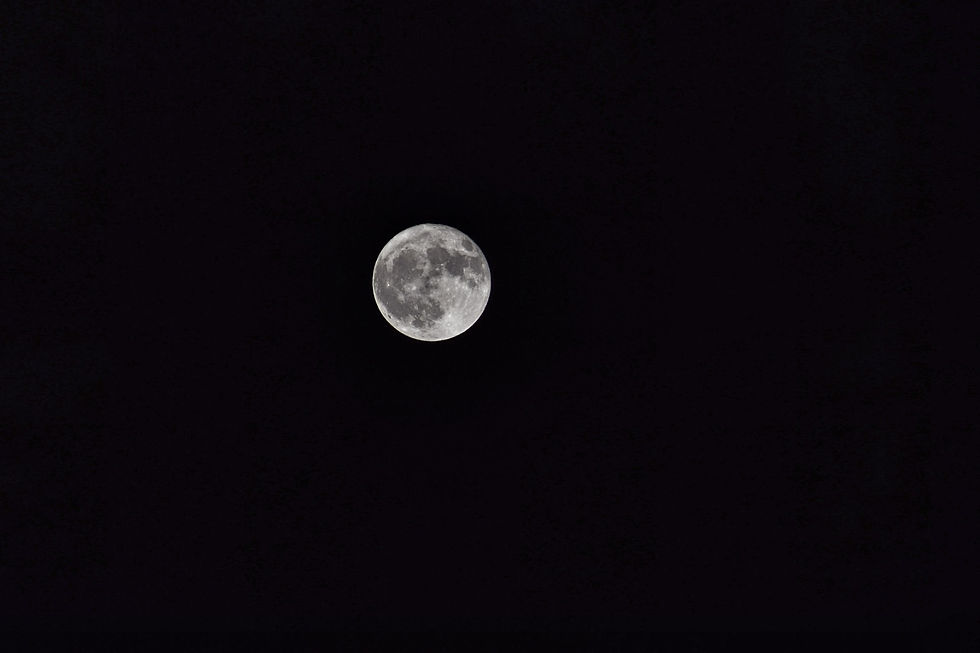 DSC_0260-01