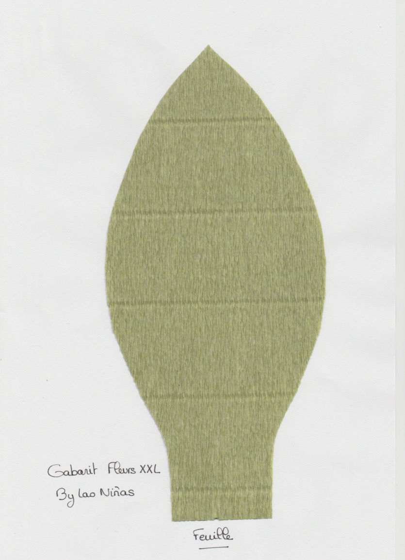 Gabarit des feuilles.