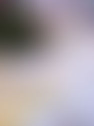 Chouettes adresses location Vaisselle Vintage