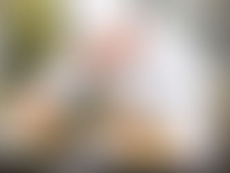 #77 - Question écrite - Sur la situation critique des métiers de bouche