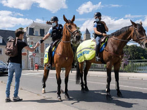 #49 Courrier - Création d'un poste à cheval permanent au sein du département des Alpes-Maritimes