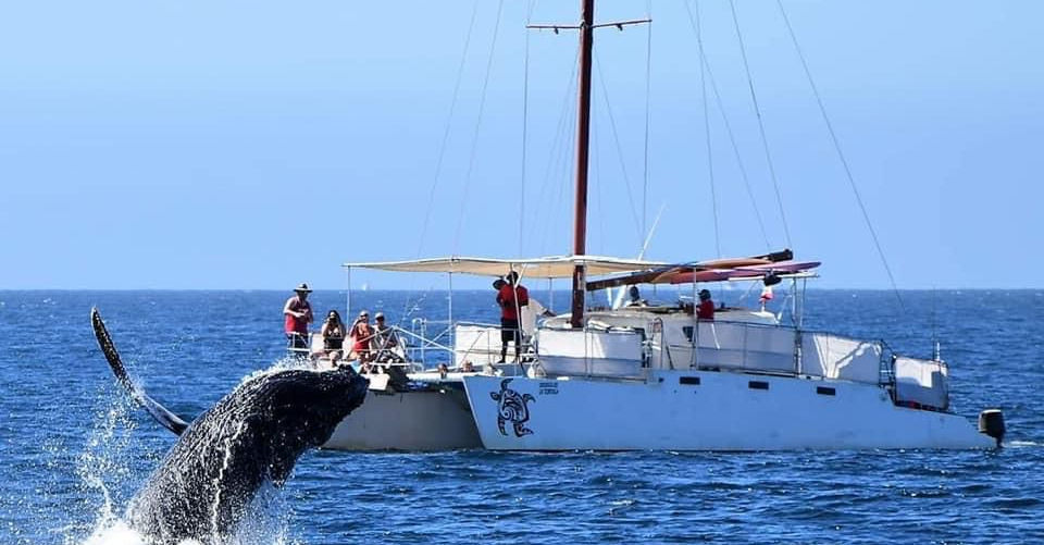 Economical Catamaran Cabo