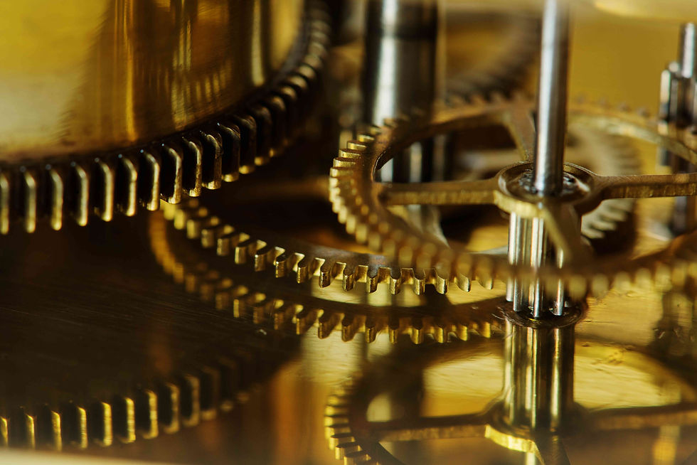 Go for Gold: Shaping Future Industry Leaders in Construction & Manufacturing