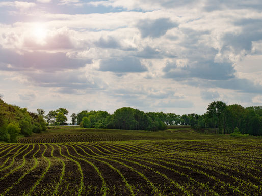 MIXED REACTIONS TO SONA 2024