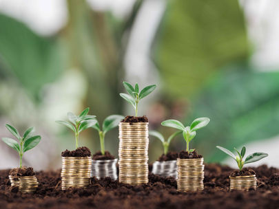 COMPLIANCE CHALLENGES HINDER AFRICAN SMMES FROM ACCESSING GREEN CAPITAL