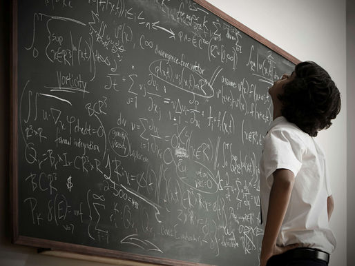 NGO HARVESTS FUTURE EINSTEINS WITH MATHS PROGRAMME