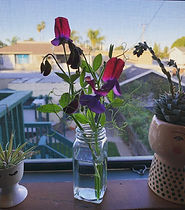 IMG_1166.JPG