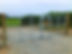 IMG_3383.jpeg