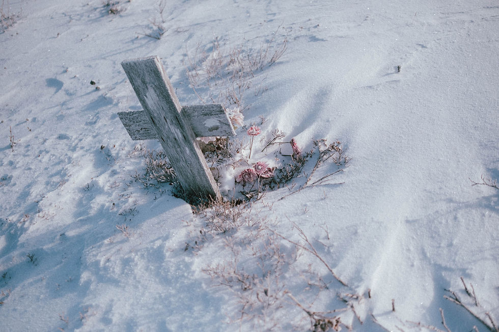 Wooden cross and pink flowers in a snowy landscape