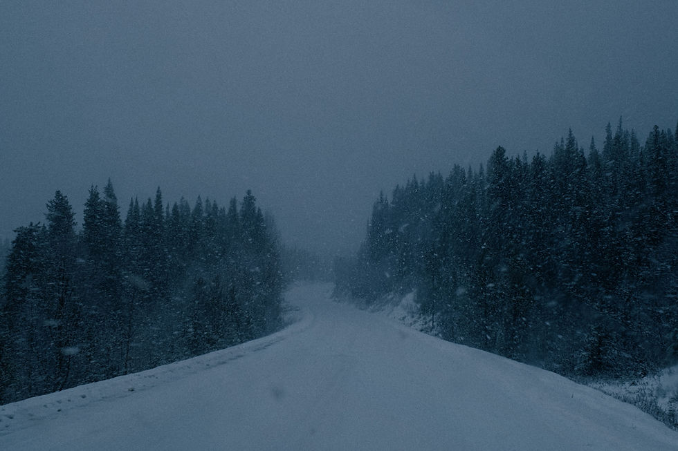 A snowy road winding through a pine forest under a dark grey sky.