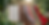 Bright Colourful Spring Picnic Banner (1).png