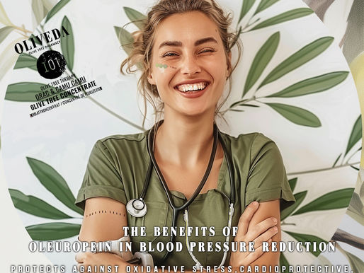 Uncovering the Benefits of Oleuropein in Blood Pressure Reduction