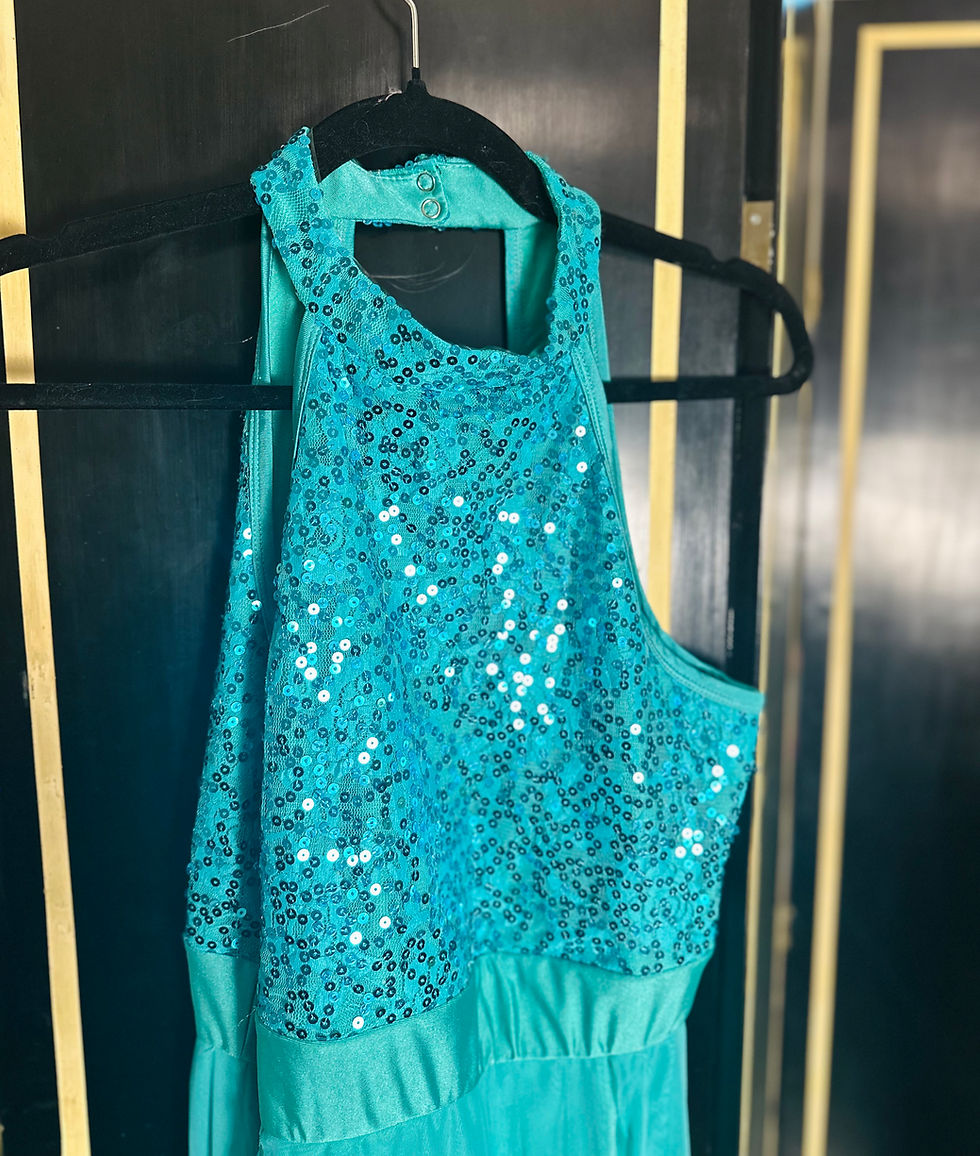 Thumbnail: Nwt IBTOM Castle Sequin Dress - Size XL