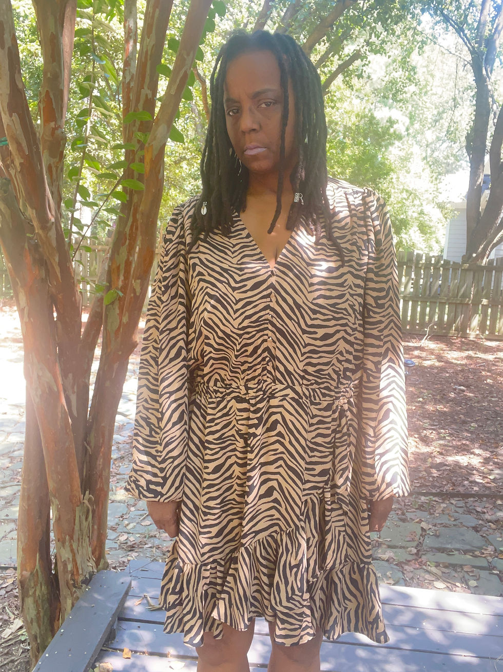 Thumbnail: Nw/o Tags Banana Republic Leopard Print Maxi Dress - Size XL
