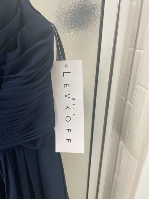 Thumbnail: bill Levkoff Gown -Size 12