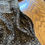 Thumbnail: Nawab Golden Handmade Embroidered Male Sherwani - Size L