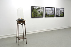 Nicolas Milhé, Nature 2, 2012.