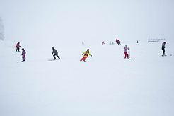 Winter Sport