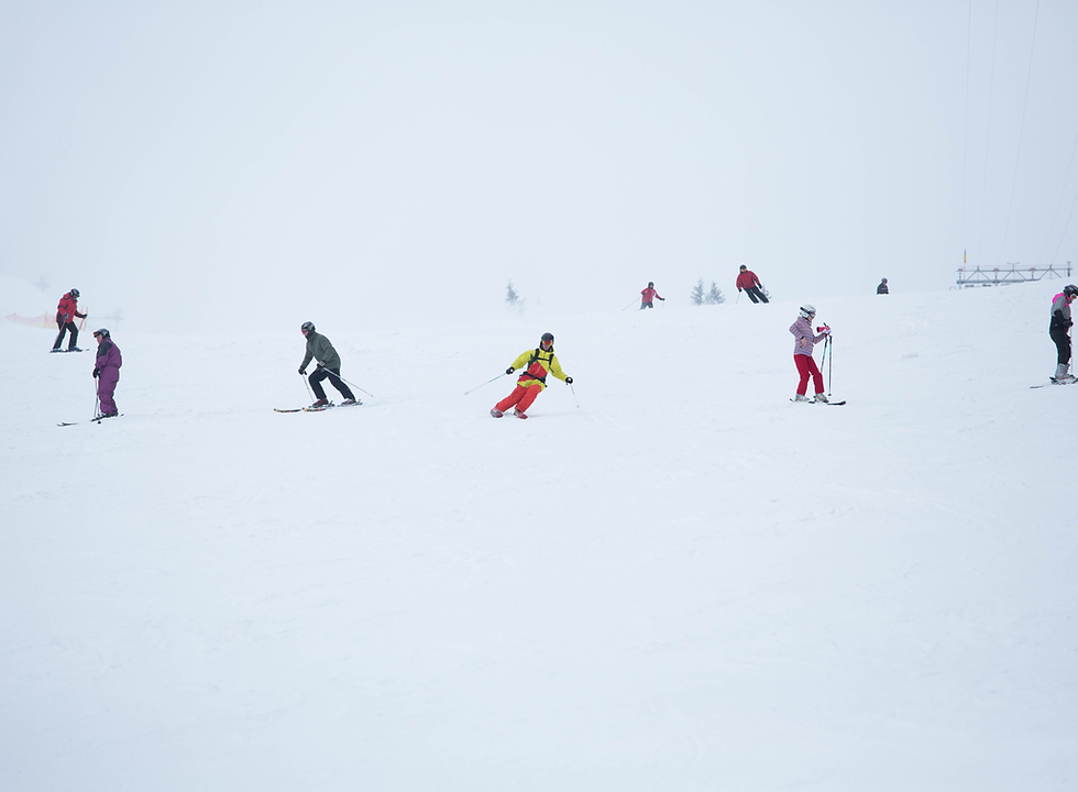 Winter Sport